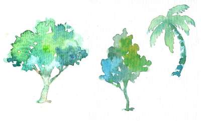树 椰子树 榈 水彩画 绘画 墨 椰子树 椰子树 椰子树