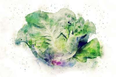 蔬菜 食物 水彩 绘画 装饰 艺术的 设计 绿色 叶子 刷子