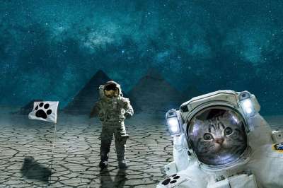 猫 幻想 动物 空间 金字塔 Gizeh 英国短毛猫 银斑