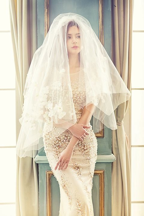 女士 袍 面纱 模型 新娘 婚纱礼服 新娘的面纱 时尚