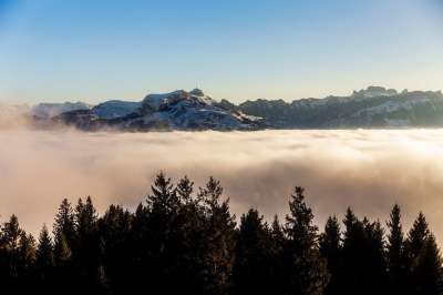 山 雾 树木 景观 天空 云 高 高山 查看 塞尔瓦海洋
