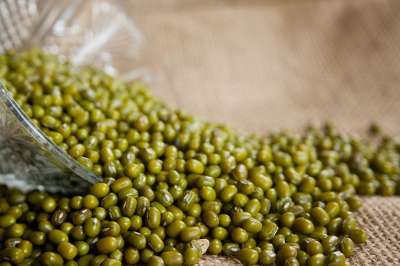 绿豆 辐射豇豆 月豆 金克 豆类 绿色 克 种子 豆科植物