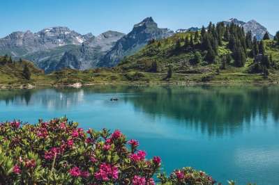 Trüebsee 铁力士 瑞士 全景 阿尔卑斯山 景观 高山玫瑰