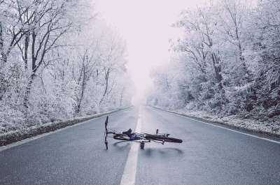 自行车 路 树木 雪 冬天 街道 分行 林地 森林 雪林