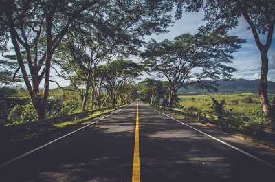 沥青 街道 树木 大街 绿树成荫 路 高速公路 景观 巷道