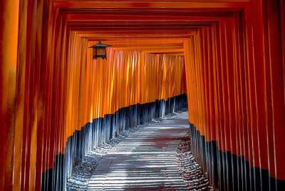 伏见稻荷神社 牌坊 寺庙 神道 结构 东方的 传统的 神社 遗产