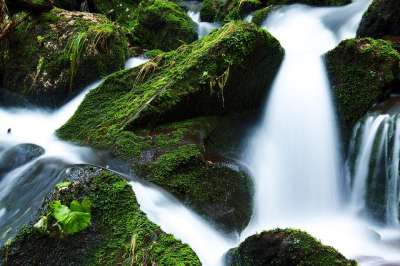 级联 苔藓 自然 溪 河 水 岩石 石头 苔藓 苔藓 苔藓