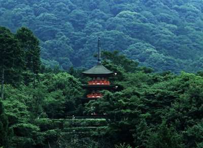 宝塔 日本 森林 亚洲 寺 丛林 寺 寺 寺 寺 丛林