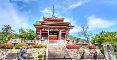 浅草寺 京都 日本 寺庙 日本人 地标 旅行 结构 宗教 文化