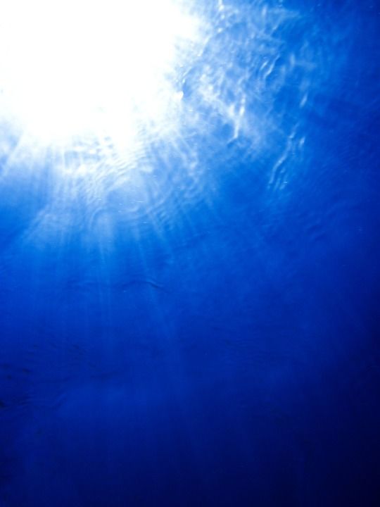 以下 下面 蓝色的 深的 潜水 光 海洋 海 太阳 表面