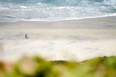 加利福尼亚州 海滩 圣地亚哥 Del Mar 美国 海 人 步行