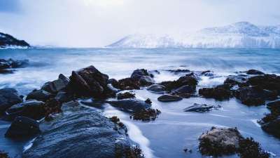 海 挪威 峡湾 自然 景观 水 海岸 山 海洋