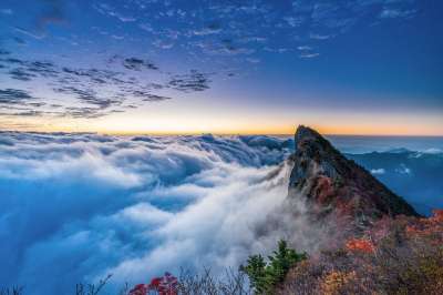 山 顶峰 云 云海 地平线 日出 早晨 首脑 秋天 秋季树叶