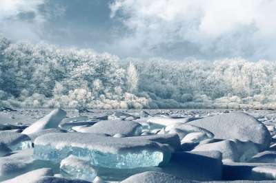 景观 冬天 冷 冰 雪 森林 亲爱的 云 冷 冰 冰 冰