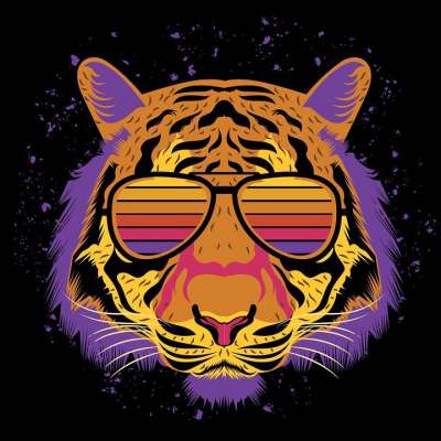 老虎 动物 太阳镜 大猫 哺乳动物 野生动物 肖像 老虎 老虎