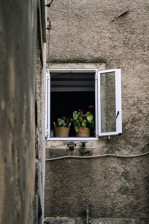 窗户 植物 城市 窗台 房子 克罗地亚 结构 建造 正面