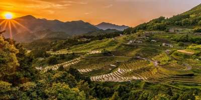 水稻梯田 日落 山 稻田 农场 农业 种植园 景观 自然