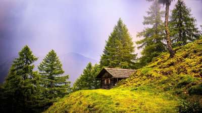 高山小屋 山 树木 针叶树 针叶 针叶林 常绿 小屋 舱 景观