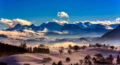 阿尔卑斯山 雪 全景 山 树木 针叶树 高山 下雪的 雪山