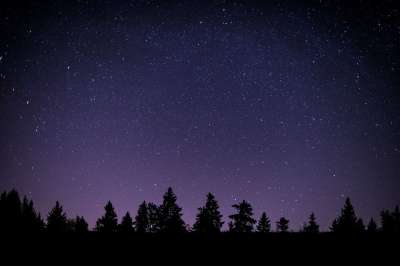 星星 星系 空间 宇宙 夜晚 黑暗的 天空 轮廓 紫色的 树木