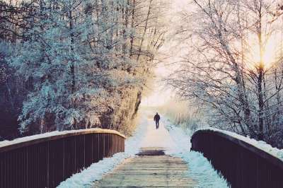 男人 桥 孤独 散步 走 冬季景观 冬天 景观 雪 下雪的