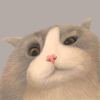 猫 宠物 动物 布偶猫 小猫 可爱的 卡通画 猫 猫 猫 猫