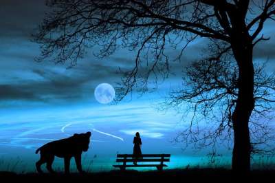 天空 蓝色的 夜晚 月亮 自然 景观 月光 满月 云 轮廓