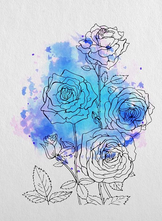 玫瑰 花朵 工厂 盛开 布卢姆 植物群 水彩 艺术 染料 污渍
