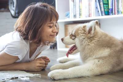 女孩 女士 女性 亚洲 时尚 性感的 年轻 美丽的女孩 女人时尚