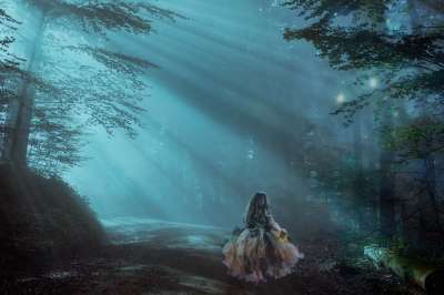 森林 夜 幻想 树木 光 神秘 魔术 超现实的