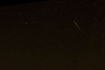 流星 星空 仙人掌 夜晚 夜空 长期接触 流星 流星 流星