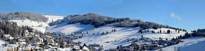 全景 自然 雪 冬天 森林 景观 山 全景图像 天堂 寒冷的