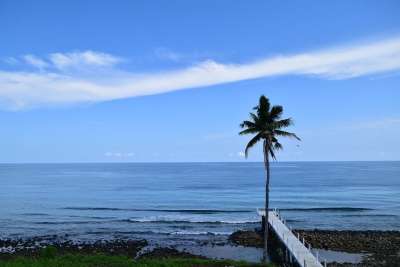 大海 椰子树 蓝天