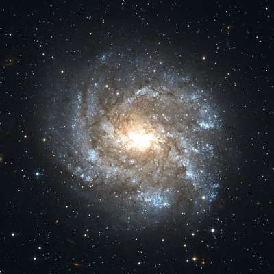 Ngc 2082 棒旋星系 星座箭鱼 星系 星空 空间 宇宙 夜空