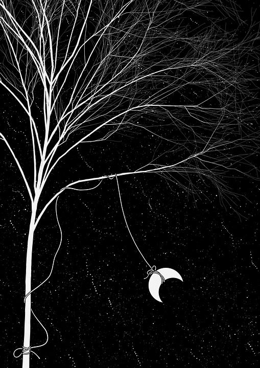 想象力 创造力 插画师 绘画 黑和白 夜晚 月亮 树 星星