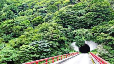 树 隧道 桥 路 栏杆 自然 文物 景观