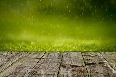 春天 背景 绿色 草 雨 原野