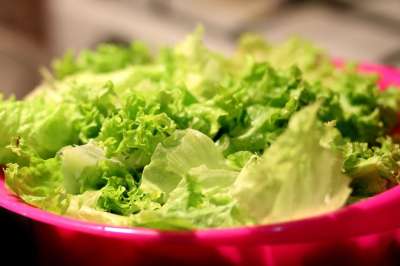 食物 沙拉 生菜 健康 蔬菜 绿色 树叶 生菜叶 有机的