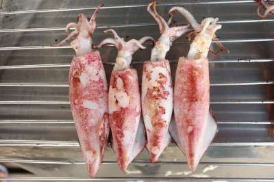 墨水 乌贼 海鲜 尖竹汶 泰国 食物 美味的 烤鱿鱼 小菜
