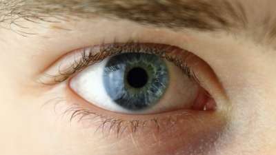 眼睛 脸 人的 绿色 蓝色的 肖像 男人 脸 眼睛 阴凉处