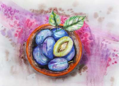 李子 水果 盘子 维生素 健康食品 水彩 画画 收成 水彩绘画