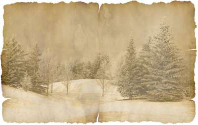 纸 文具 圣诞节 问候 冬天 冬季景观 树木 松树 雪 羊皮纸