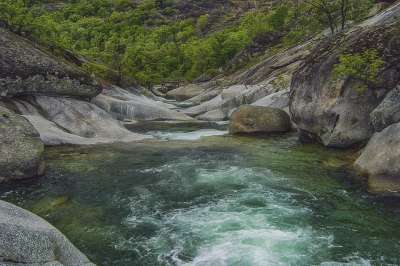 景观 自然 河 岩石 山 森林
