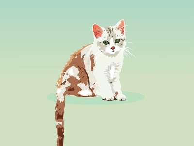 猫 小猫 肖像 动物 卡通片 绿卡通 绿色的肖像