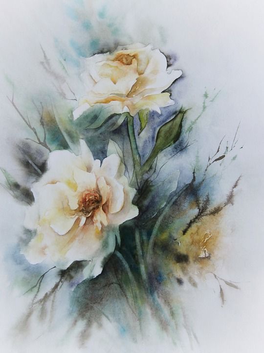 玫瑰 水彩 水彩绘画 作画 花 黄色 静物 开花 玫瑰花瓣