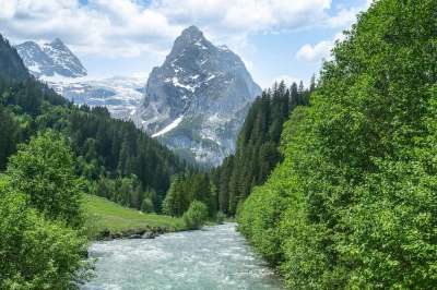 山 河 溪 阿尔卑斯山 伯尔纳高地 罗森劳伊 罗森劳伊巴赫 青春痘