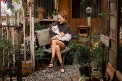 女士 猫 猫科动物 宠物 模型 美丽 化妆 年轻 时尚 肖像