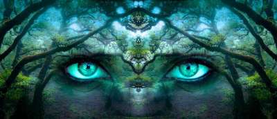 幻想 眼睛 森林 分行 脸 肖像 神秘 超现实的 严峻 手表