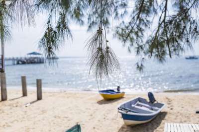 海滩 水 沙 松弛 旅行 海 岛 海洋 太阳 船 树