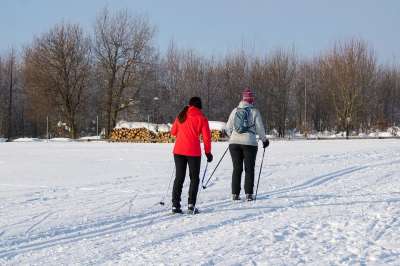 冬天 运动的 越野滑雪 闲暇时间 自然 冬季运动 人们 越野滑雪者